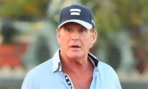 David Hasselhoff Legacy and Fame